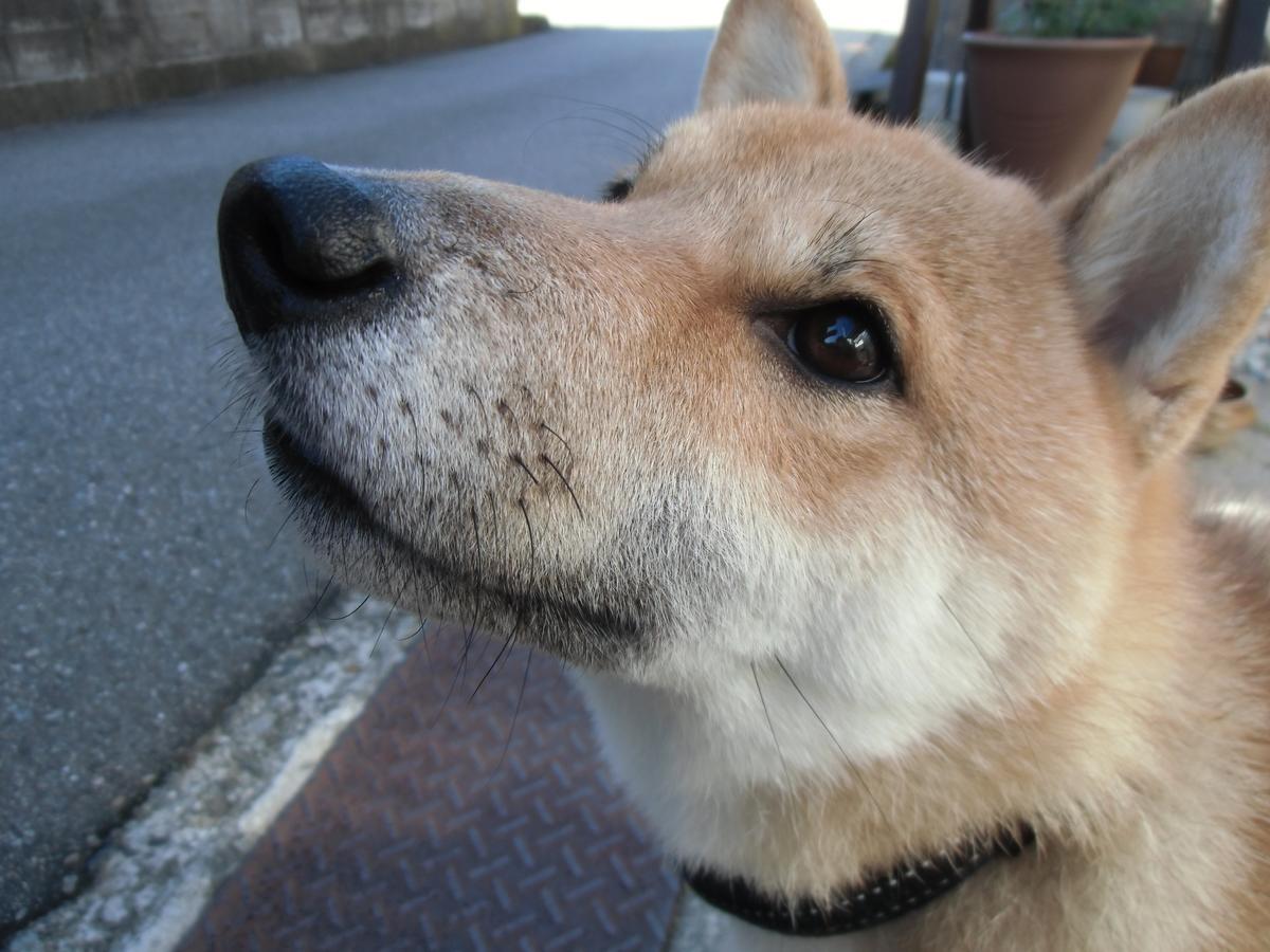Kanazawa Share House Gaooo Kültér fotó