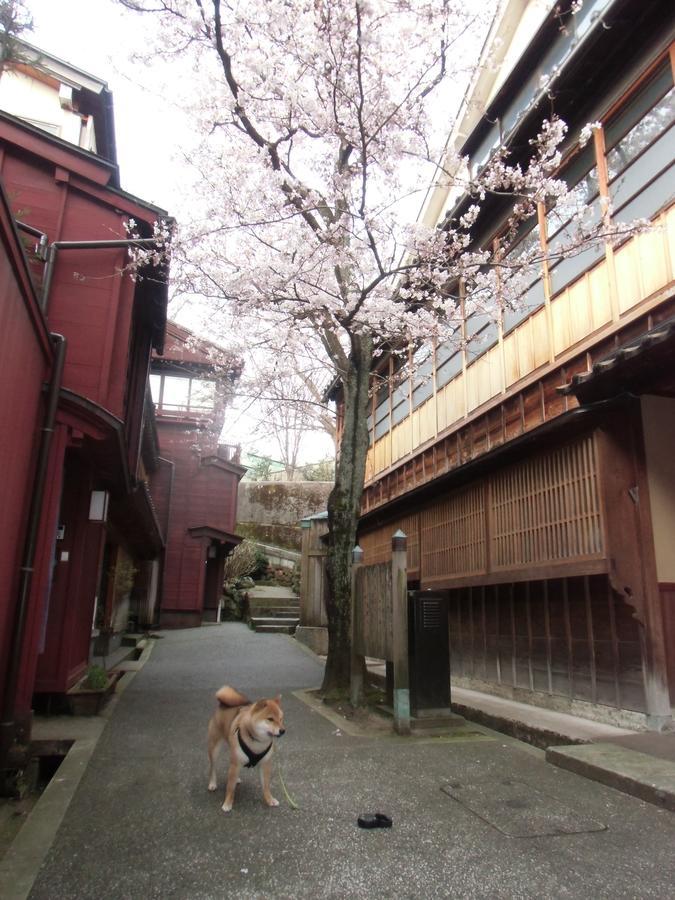 Kanazawa Share House Gaooo Kültér fotó