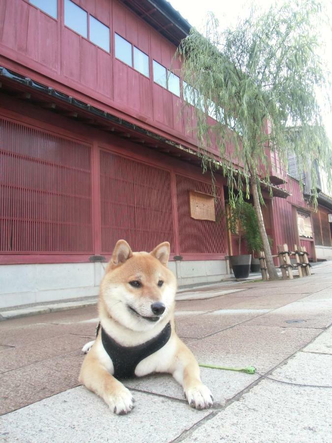 Kanazawa Share House Gaooo Kültér fotó